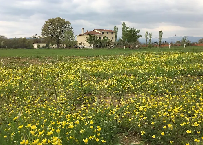 Kazdaglari Ida Kalkım