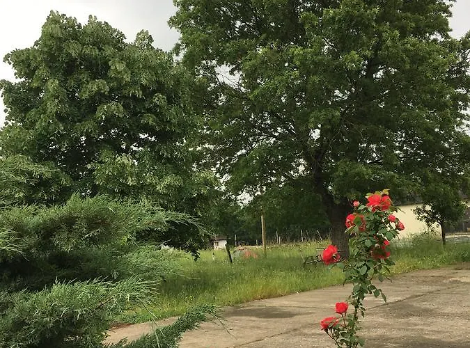 Hotel Kazdaglari Ida *